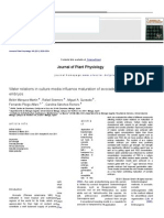 Water Relations in Culture Media Influence Maturation of Avocado Somatic Embryos