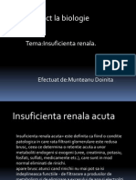 Insuficienta Renala