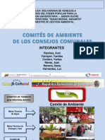 Comite Ambiente