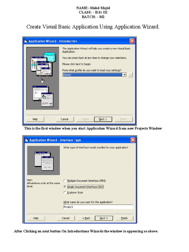 Visual Basic Application Guide | PDF | Visual Basic .Net | System Software