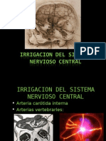 Irrigacion Del Sistema Nervioso Central