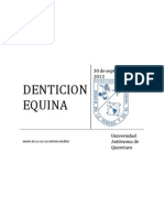 Denticion Equina