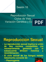 Reproducción Sexual, Ciclos de Vida y Evolución en Hongos