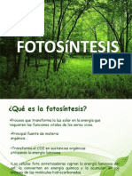 fotosintesis