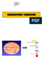 Transcripcion y Traduccion