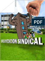 organización sindical tipeo