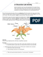 Flower Dissection Lab Updated