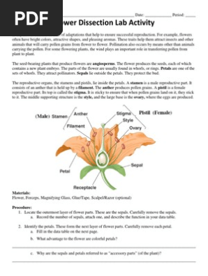 Flower Dissection Lab Updated Flowers Petal