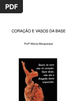 Coração e Vasos Da Base