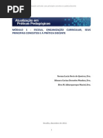 Módulo 1_escola_organização Curricular_prática Docente (3)