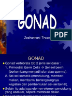 GONAD_2