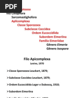 02 Família Eimeriidae