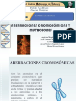 aberracionescromosomicasymutacionesccromosomicas-110407093526-phpapp02