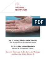 Concepto Actual y Clasificación de Las Dermatosis Profesionales