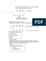 Resumen de Matriz y Determinantes