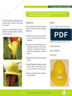 Uso del casco dieléctrico de ala completa.pdf