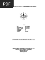 Download Peranan Zat Pengatur Tumbuh Sebagai Herbisida by IlallangGurun SN225576844 doc pdf