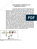 Copy of Purinergic Signaling JOURNAL READING