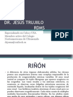 RIÑÓN