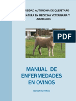 Manual de Enfermedades en Ovinos