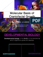 Molecular Basis PART 1 / Orthodontic Courses by Indian Dental Academy