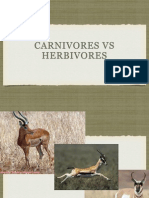 Carnivores VS Herbivores