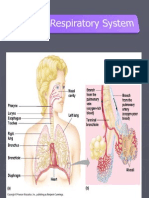 K7 - Gas Exchange - Respirasi Blok - Maret.13