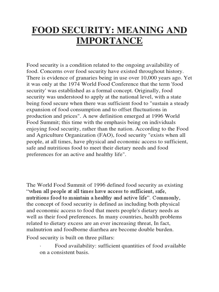 food security essay grade 12