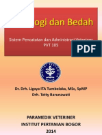 SPAV 7 Radiologi Dan Bedah-Praktikum-1