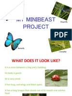 Minibeast Project