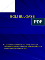 BoliBuloase1-rezumat