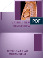 VASELE MEDIASTINULUI