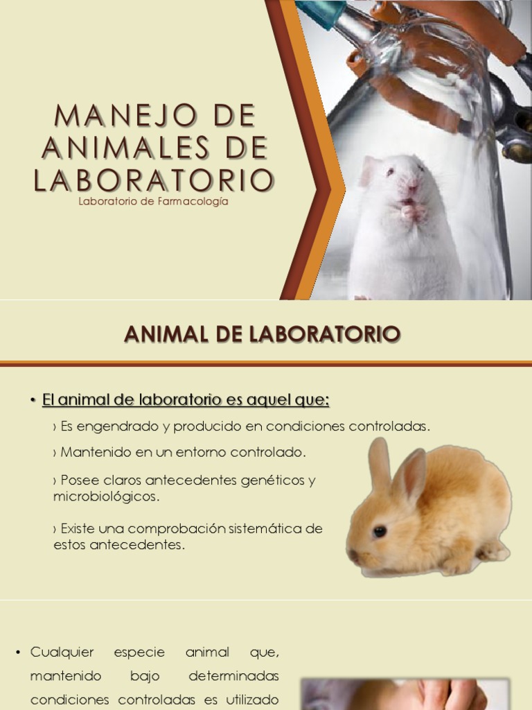 Manejo de Animales de Laboratorio - Farmacologia | PDF | Laboratorios