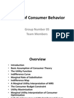 Theory of Consumer Behaviour