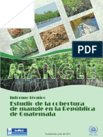 Estudio de La Cobertura de Mangle en Guatemala FINAL