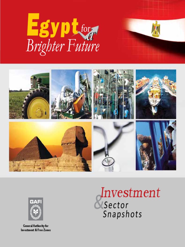 DOING BUSINESS IN EGYPT Egypt Taxes