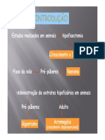 fisiologiaendocrina2