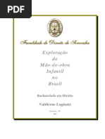 Exploracao Da Mao de Obra Infantil No Brasil