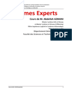 Systèmes Experts