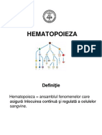 Curs 1 Hematopoieza