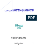 El Liderazgo Organizacional