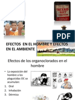 Efectos  EN EL HOMBRE Y EFECTOS EN EL.pptx