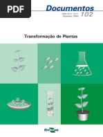 Transformacao de Plantas
