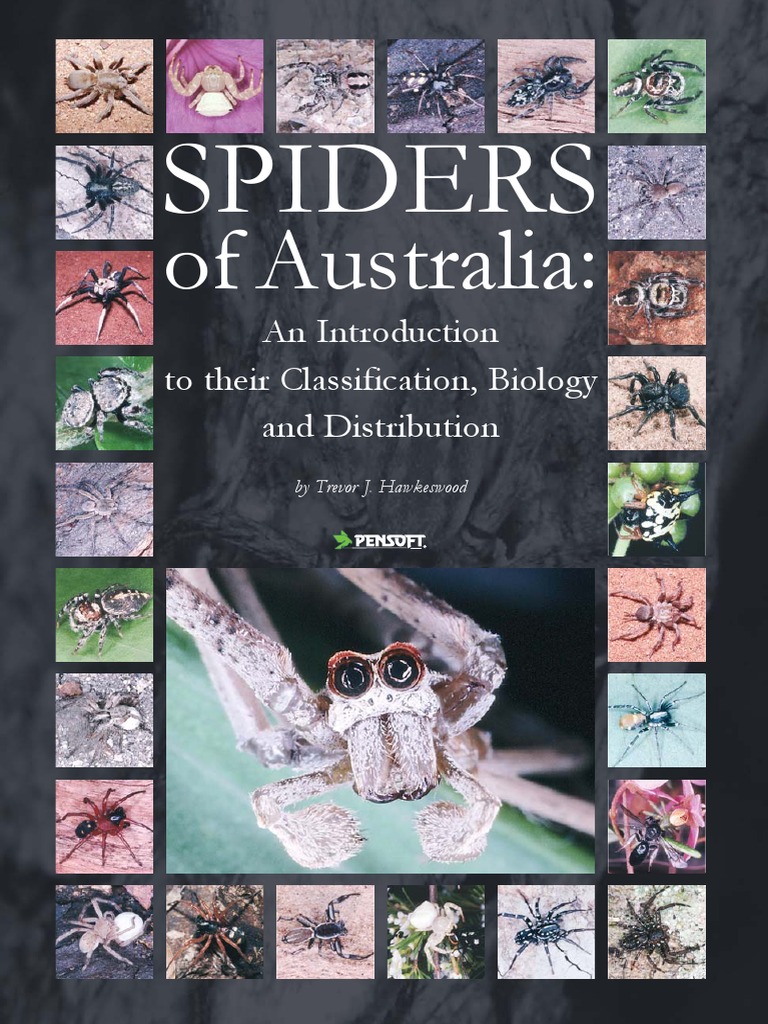Spiders of Australia PDF Spider Zoology