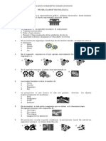 Prueba de Tecnología