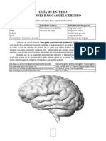 8º - Funciones cerebrales