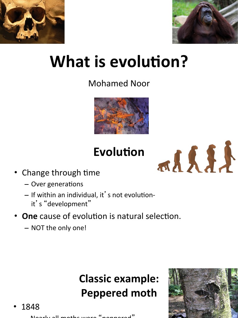 1.1.what Is Evolution | PDF | Science & Mathematics | Young Adult