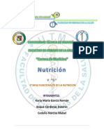 Carpeta Nutricion Etapas Funcionales de La Nutricion