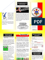 Publicação SSCIP.pdf