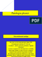 Patologia Pleurei